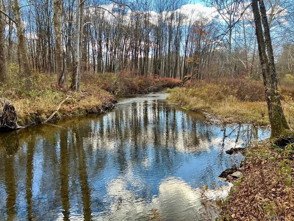 28 Clinton Corners Road Salt Point NY 12578