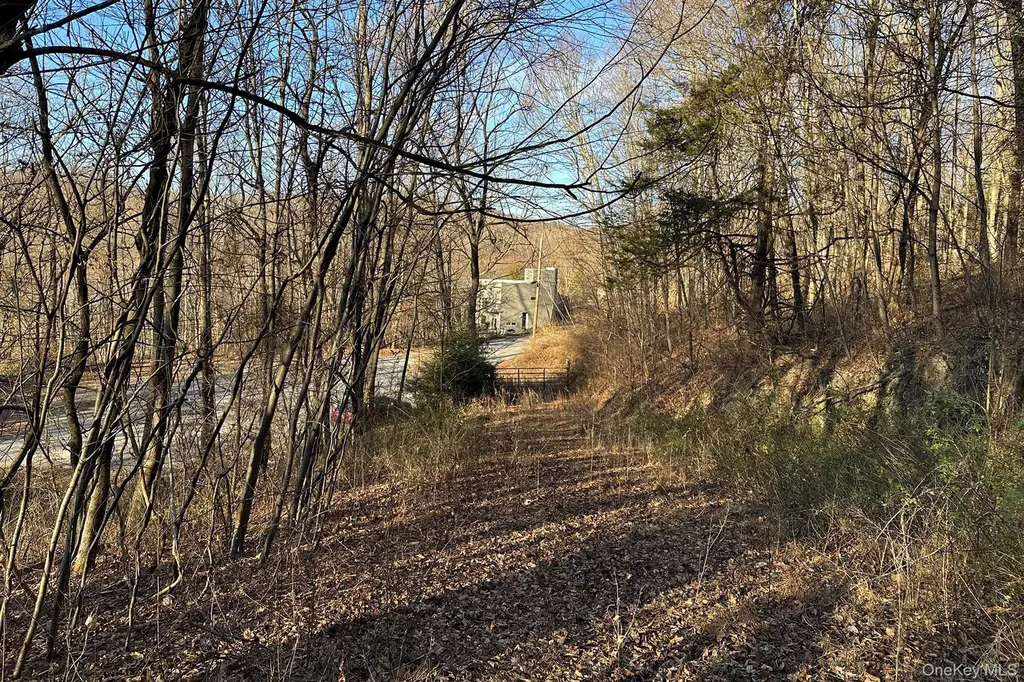 65 Patricia Lane Clinton Corners NY 12514