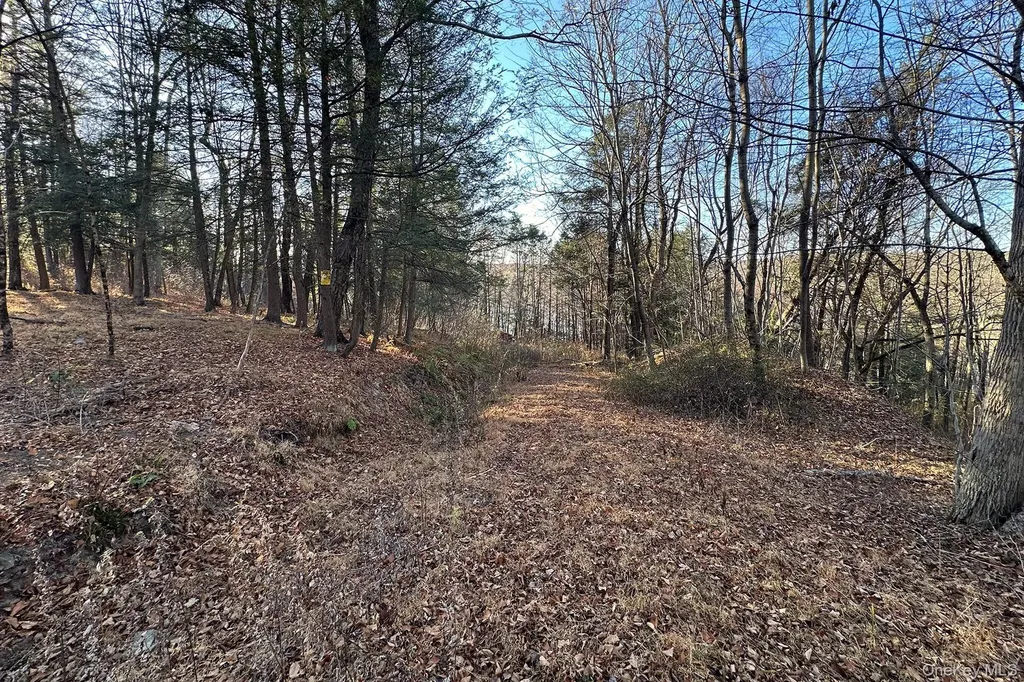 65 Patricia Lane Clinton Corners NY 12514