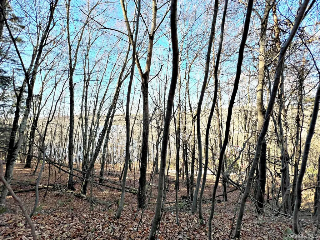 65 Patricia Lane Clinton Corners NY 12514