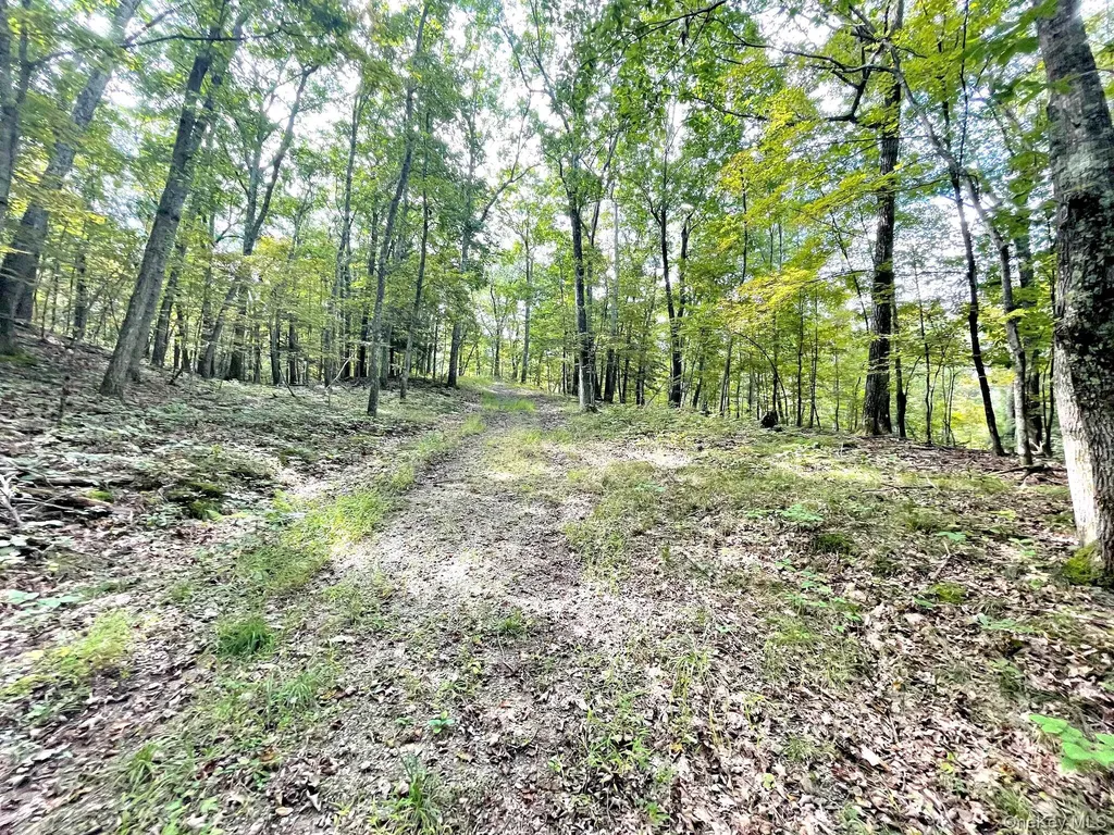 65 Patricia Lane Clinton Corners NY 12514