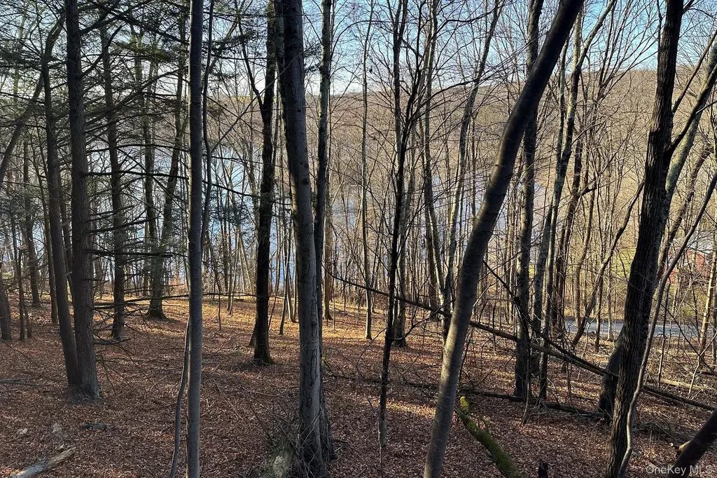 65 Patricia Lane Clinton Corners NY 12514