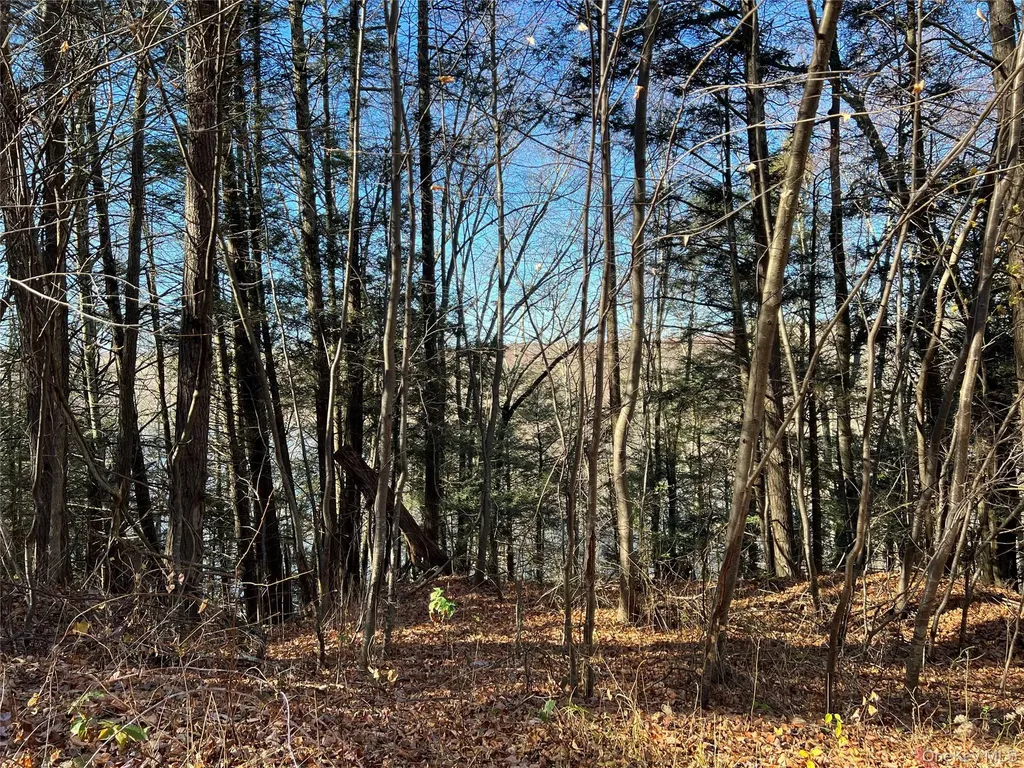 65 Patricia Lane Clinton Corners NY 12514