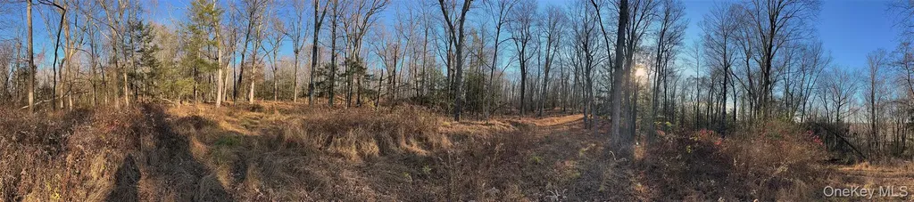 65 Patricia Lane Clinton Corners NY 12514