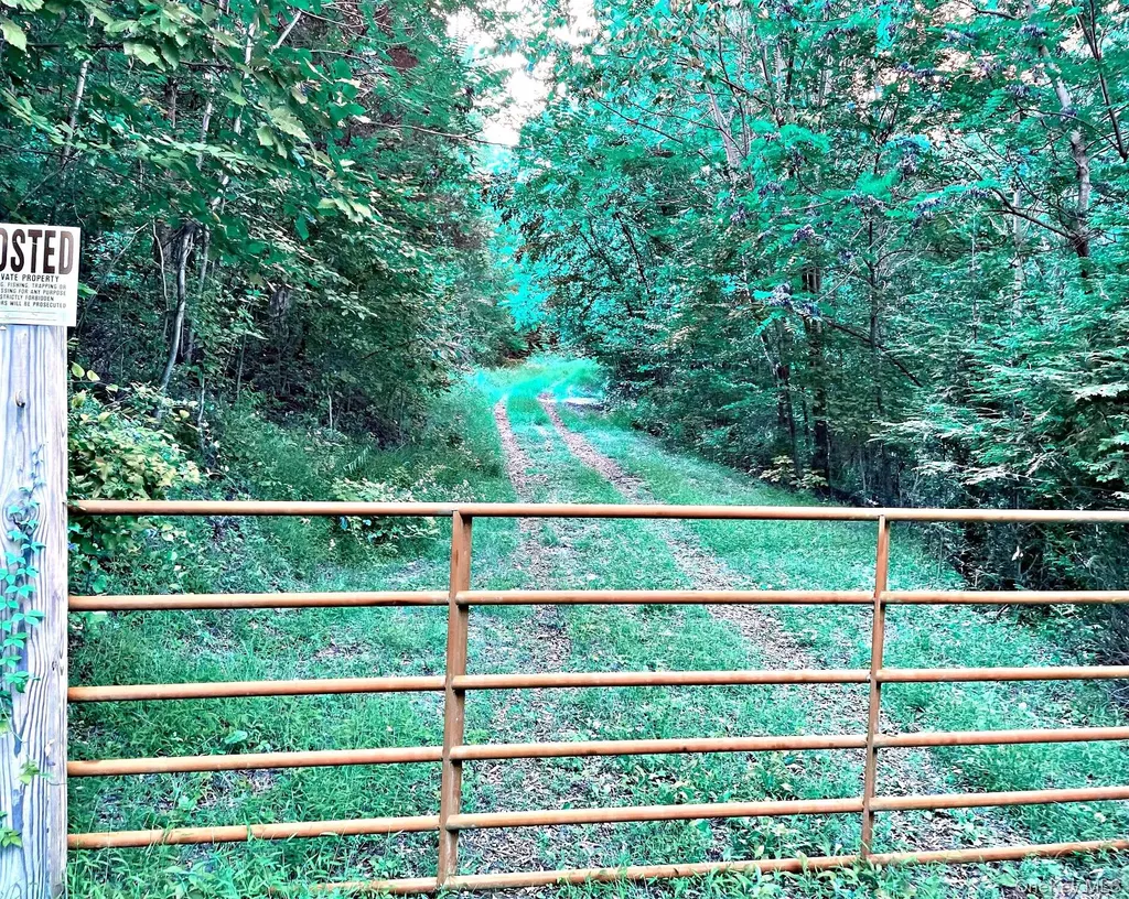 65 Patricia Lane Clinton Corners NY 12514