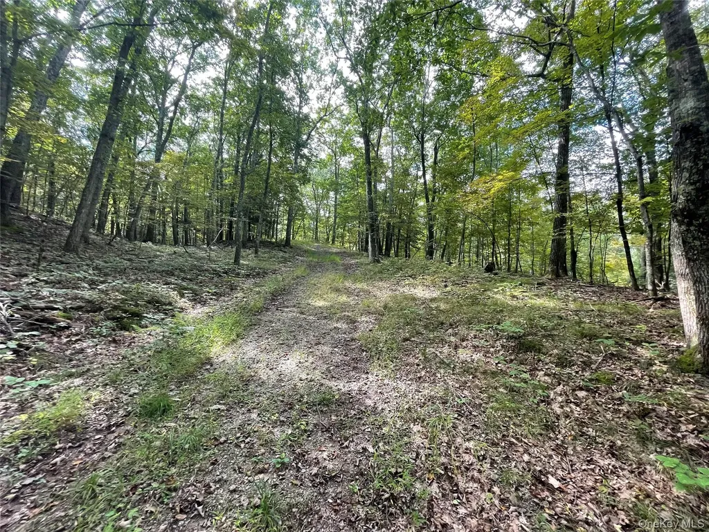 65 Patricia Lane Clinton Corners NY 12514