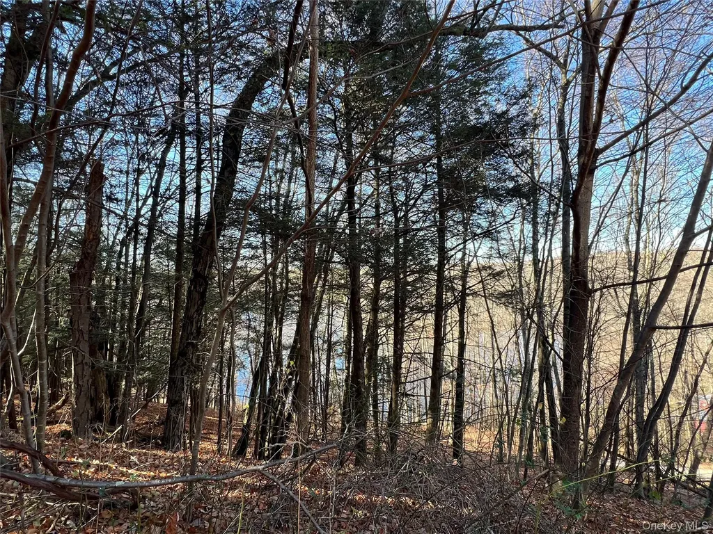 65 Patricia Lane Clinton Corners NY 12514