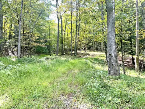 65 Patricia Lane Clinton Corners NY 12514