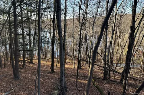 65 Patricia Lane Clinton Corners NY 12514