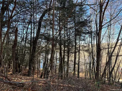 65 Patricia Lane Clinton Corners NY 12514