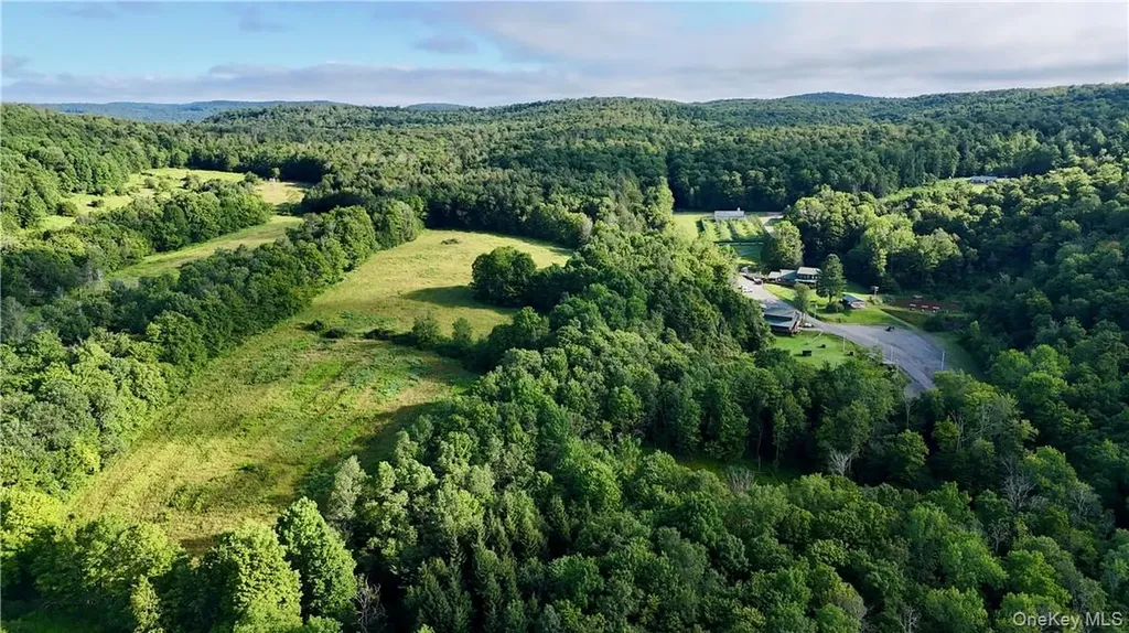 374 Neer Road Long Eddy NY 12760