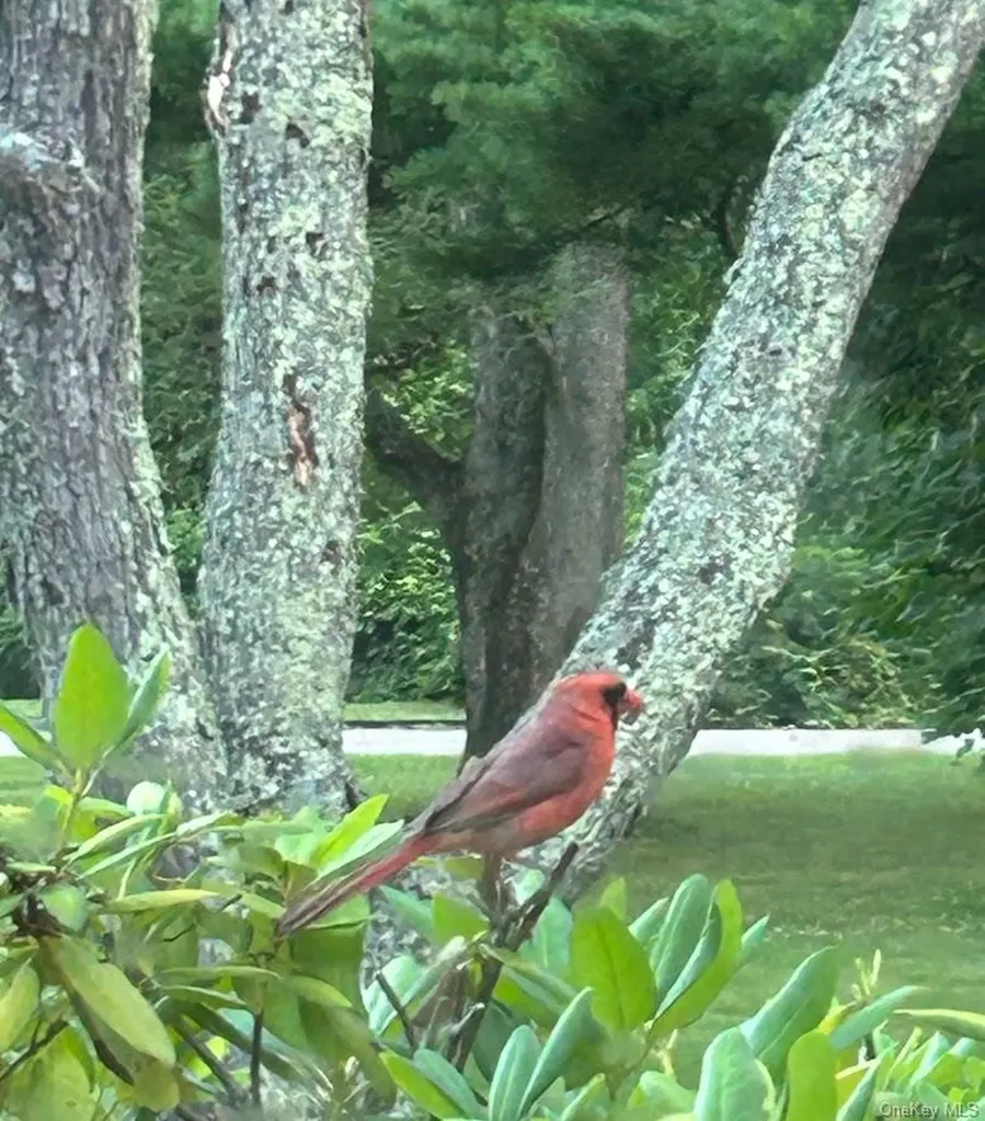 18 Adams Road Ossining NY 10562