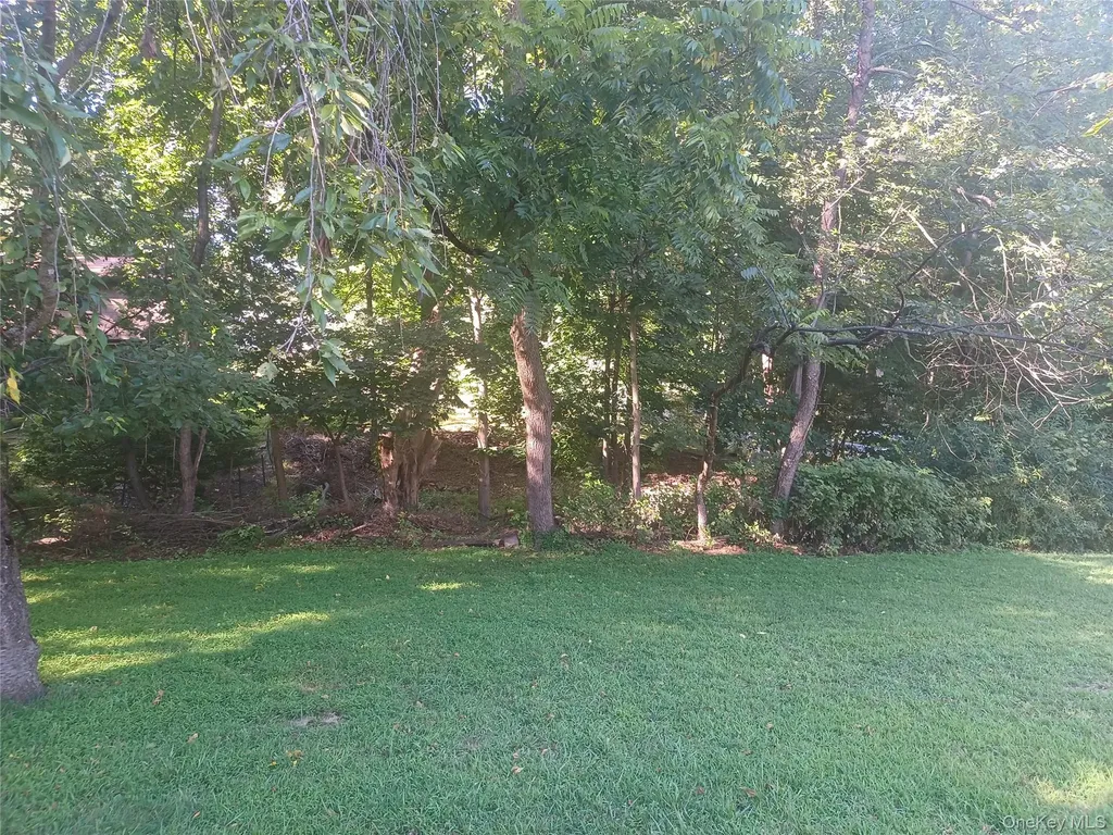 2 E Willow Tree Road Spring Valley NY 10977