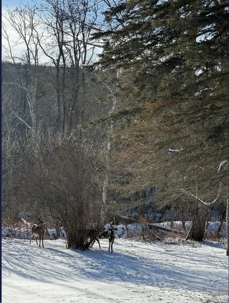 170 Maplecrest Road Windham NY 12496