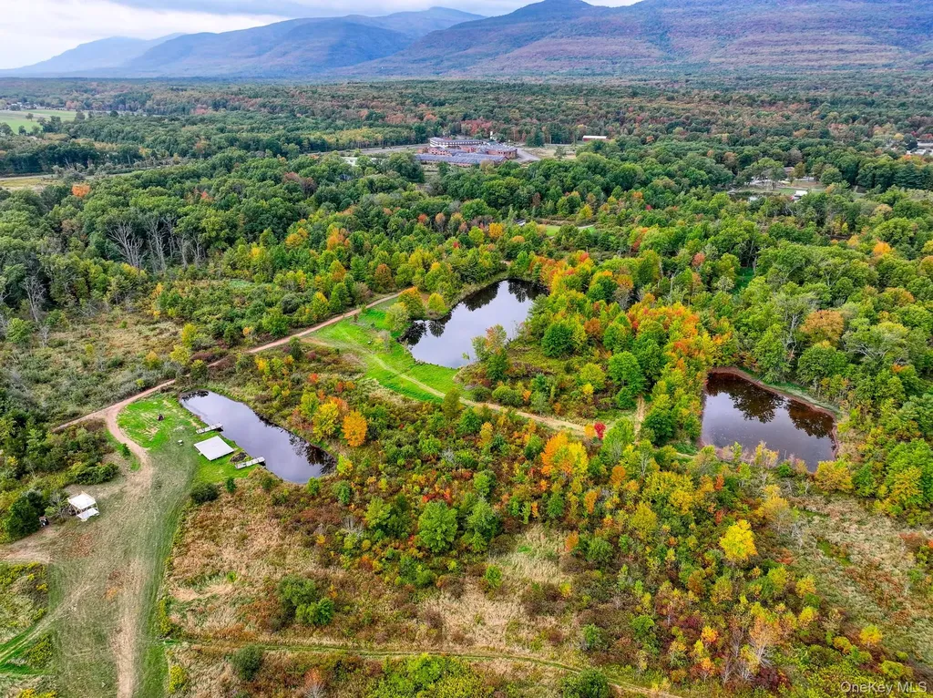 4858 Route 32 Catskill NY 12414