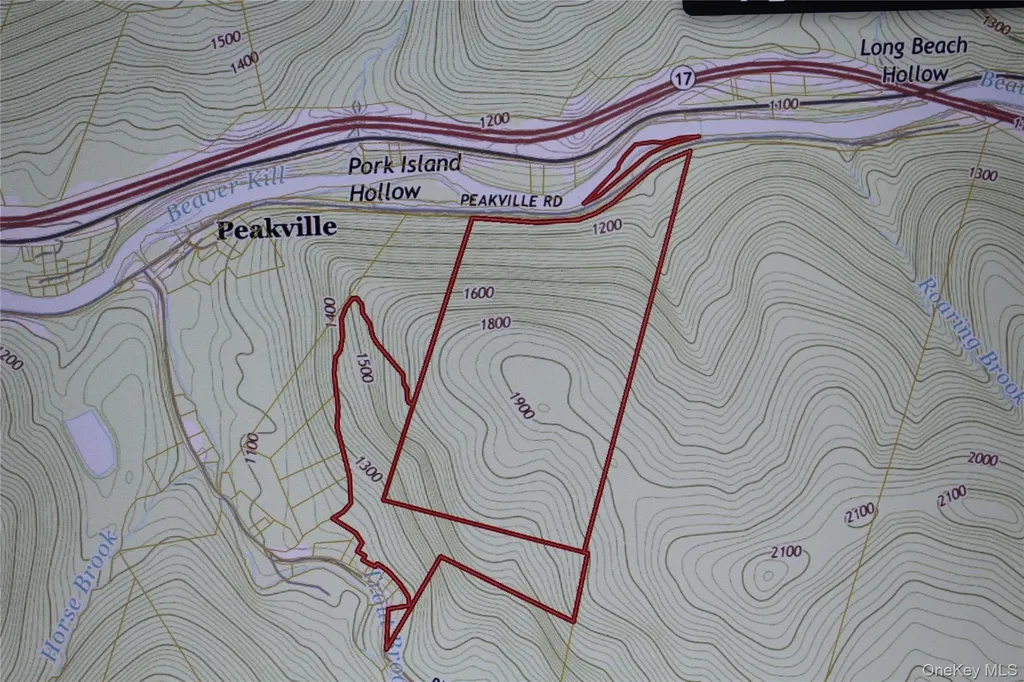 Peakville Road Roscoe NY 13783