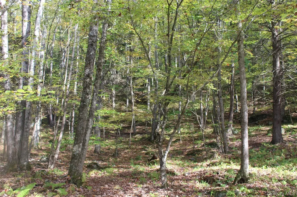 Peakville Road Roscoe NY 13783