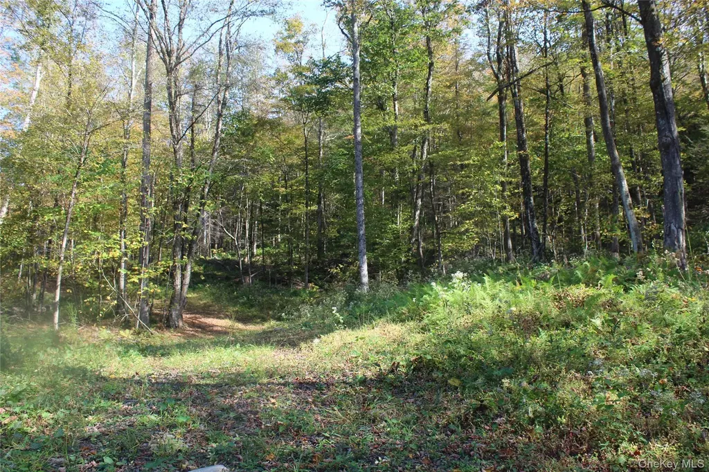 Peakville Road Roscoe NY 13783