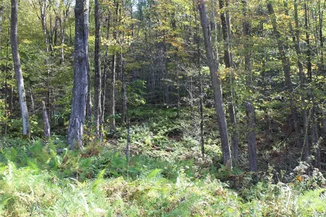 Peakville Road Roscoe NY 13783
