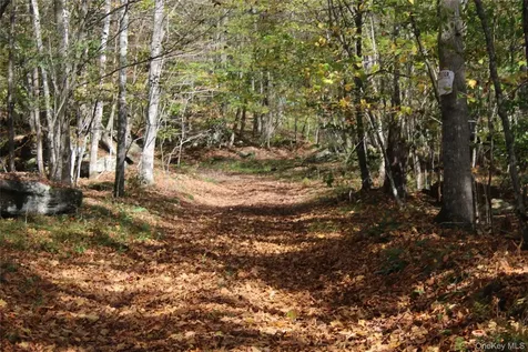 Peakville Road Roscoe NY 13783