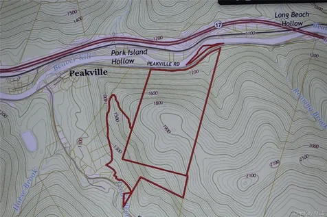 Peakville Road Roscoe NY 13783