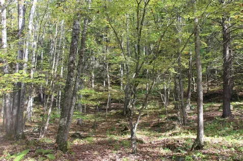 Peakville Road Roscoe NY 13783