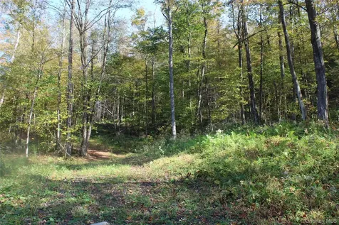 Peakville Road Roscoe NY 13783