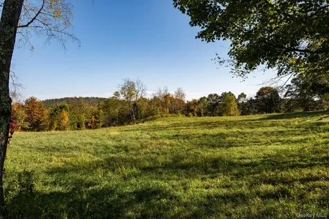 102 Melius Road Call Listing Agent CT 06754-1503
