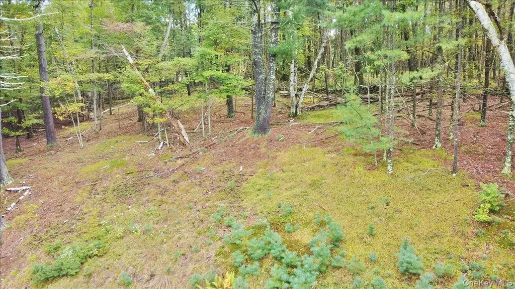 826 Buck Road Stone Ridge NY 12484