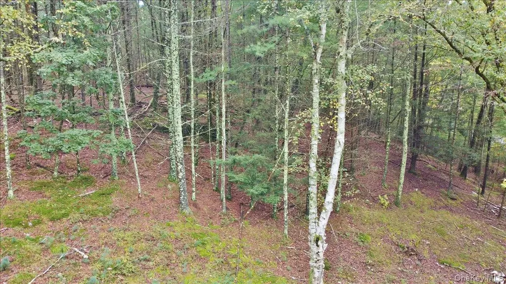 826 Buck Road Stone Ridge NY 12484