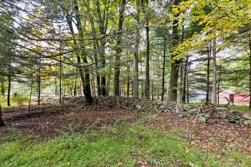 826 Buck Road Stone Ridge NY 12484