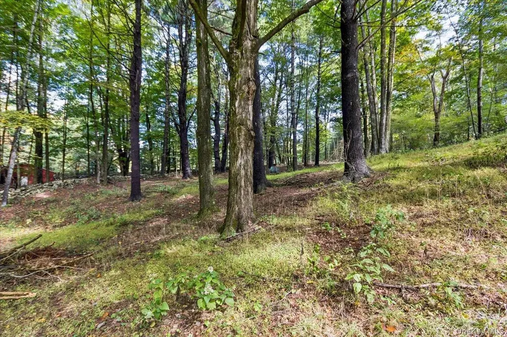826 Buck Road Stone Ridge NY 12484