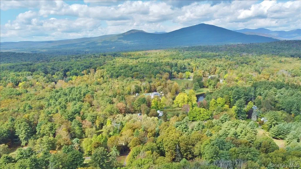 826 Buck Road Stone Ridge NY 12484