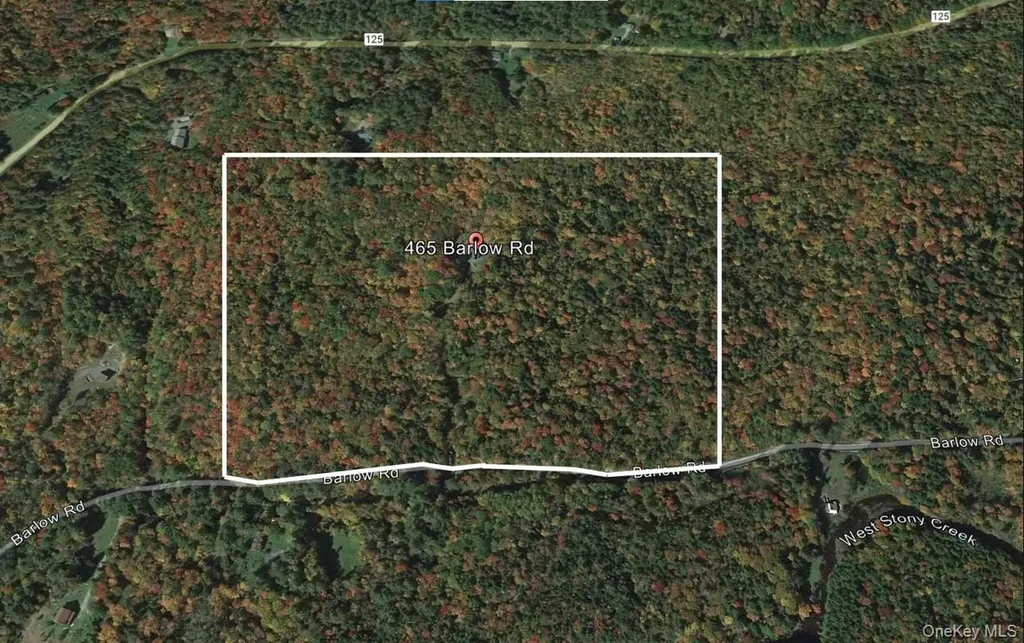 465 Barlow Road Call Listing Agent NY 12078