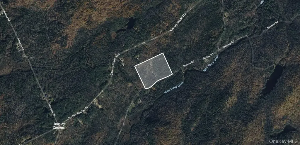 465 Barlow Road Call Listing Agent NY 12078