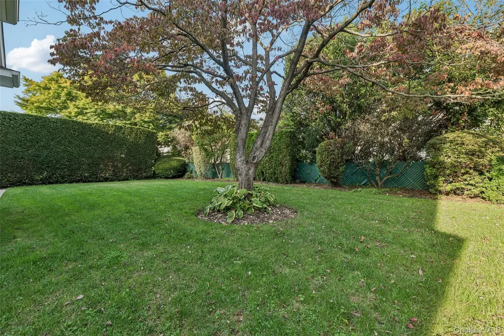 470 Argyle Road Mineola NY 11501
