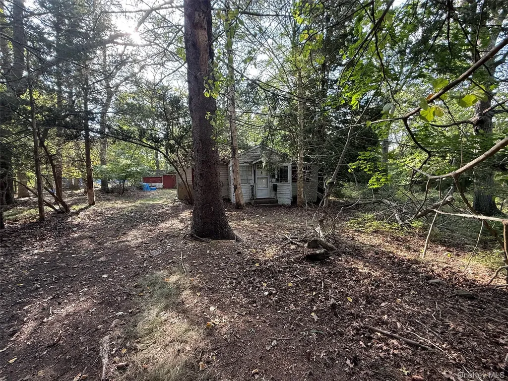 20 Primrose Path Manorville NY 11949