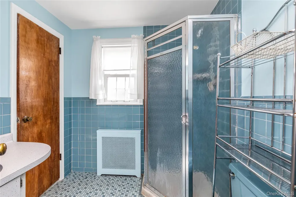 107 Aster Drive New Hyde Park NY 11040