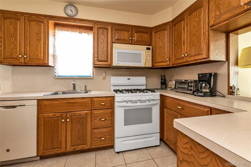 107 Aster Drive New Hyde Park NY 11040