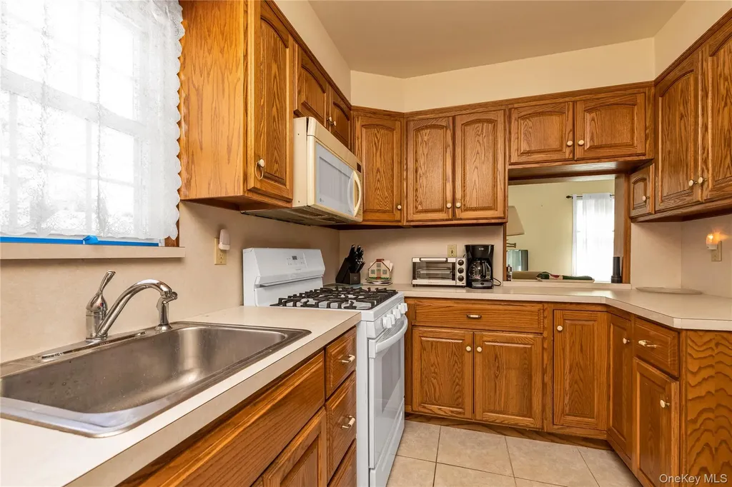 107 Aster Drive New Hyde Park NY 11040