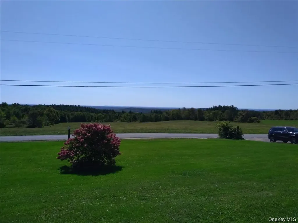 79 Elk Point Road Liberty NY 12758