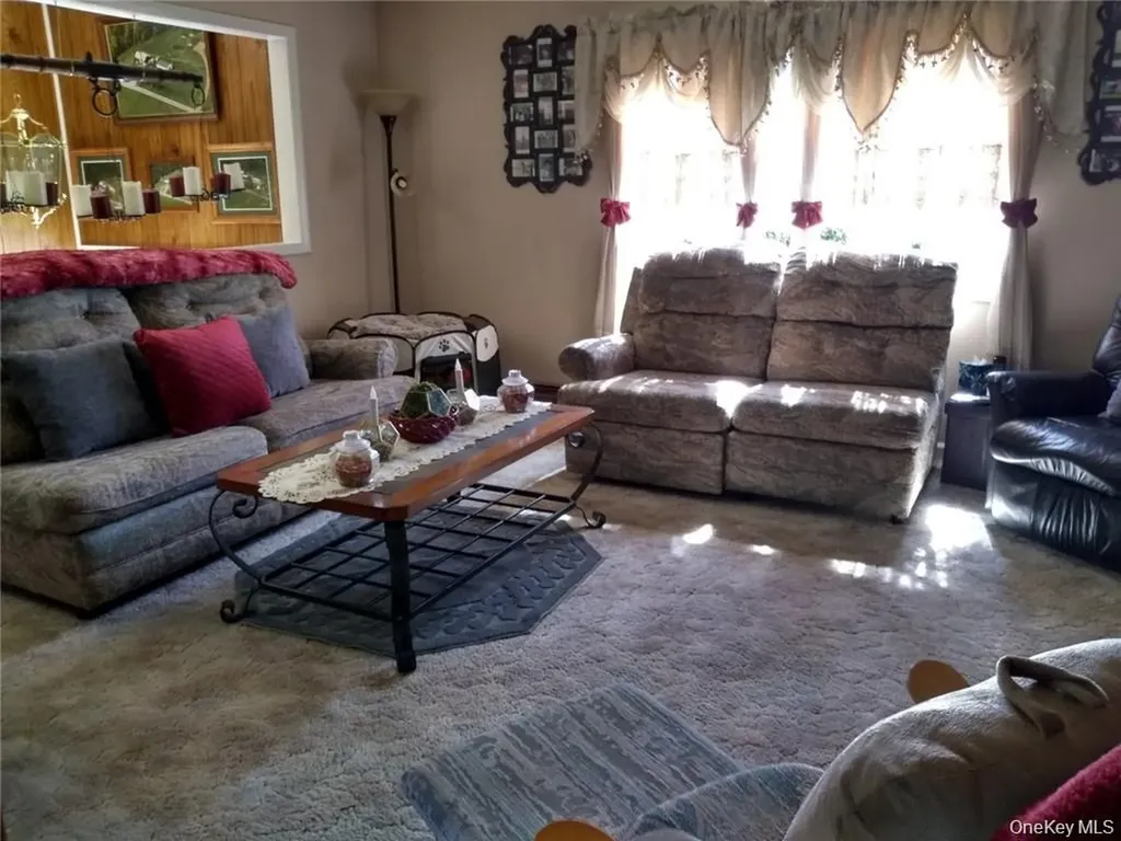 79 Elk Point Road Liberty NY 12758