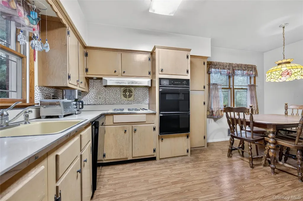 32 Rockland Drive Jericho NY 11753