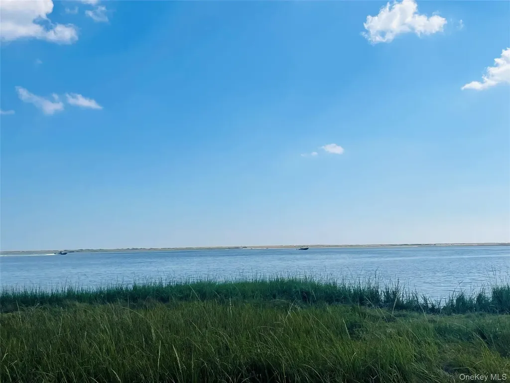 0 Dahlia Drive Mastic Beach NY 11951