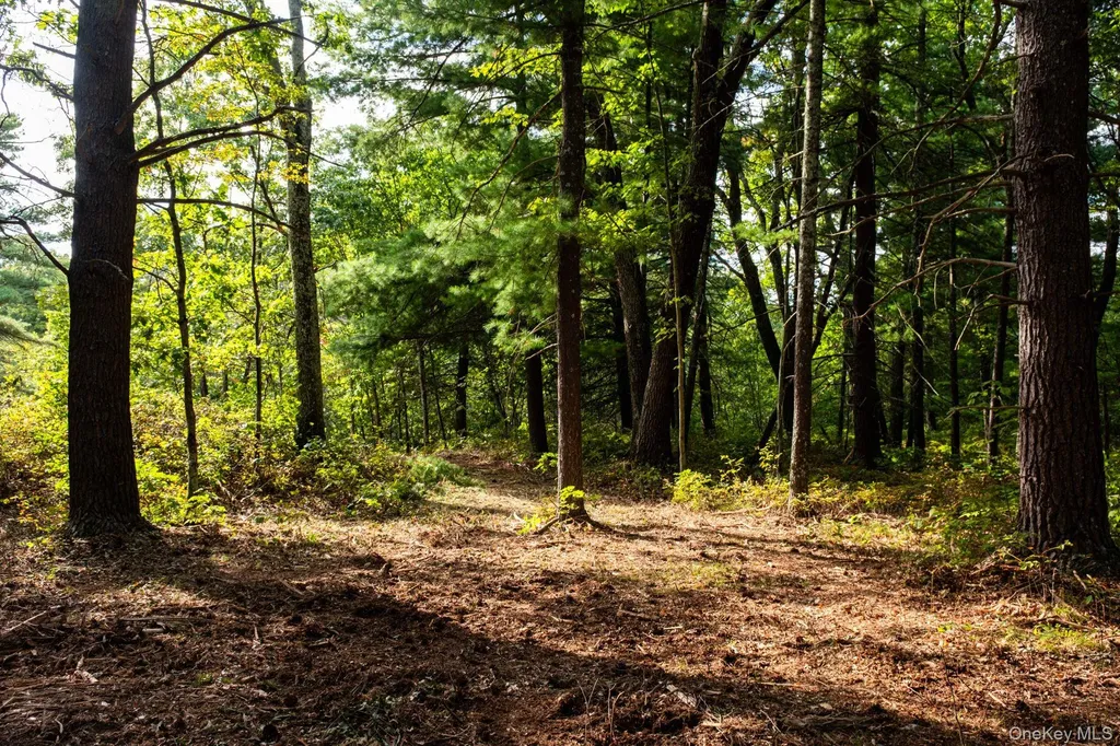 406 Shunpike Millbrook NY 12545