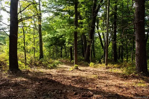 406 Shunpike Millbrook NY 12545
