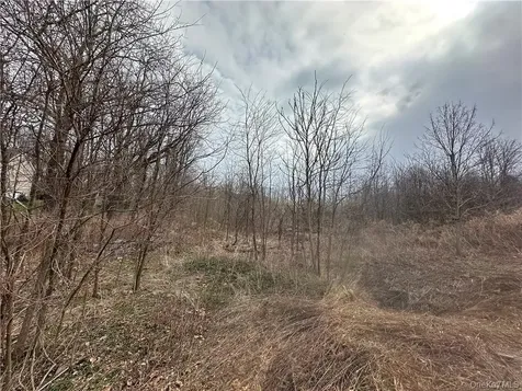 Lot 39 Roundhill Road Hopewell Junction NY 12533