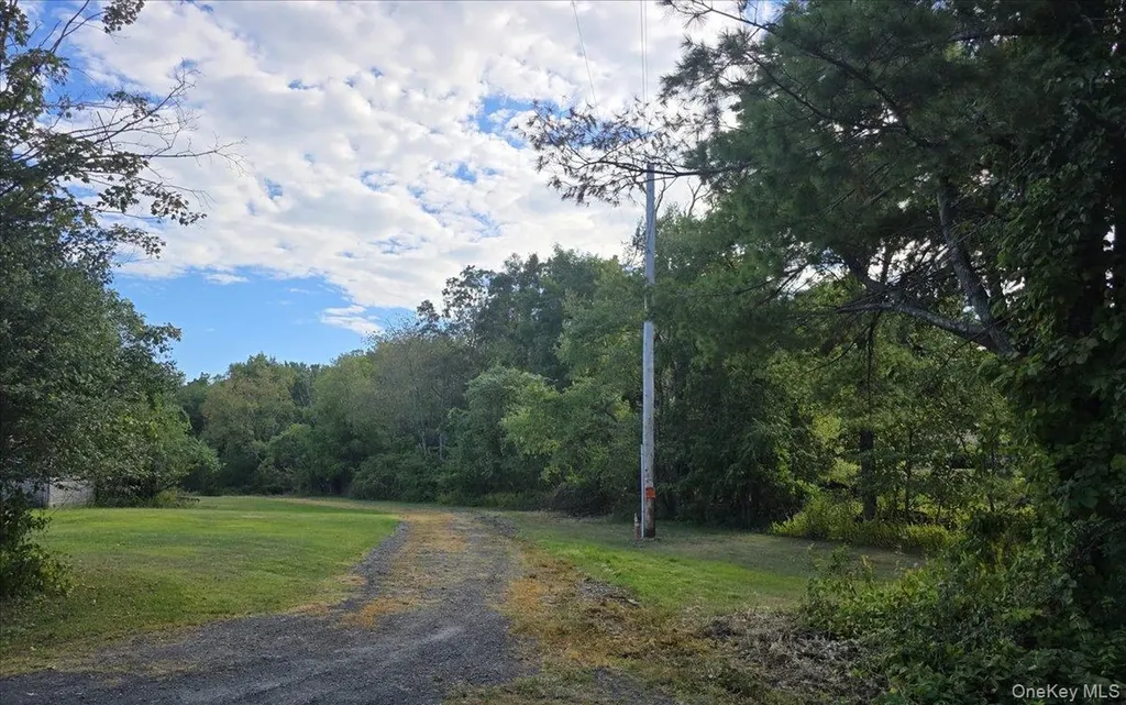 1927 County Route 67 Cairo NY 12413
