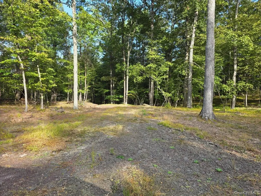 1927 County Route 67 Cairo NY 12413