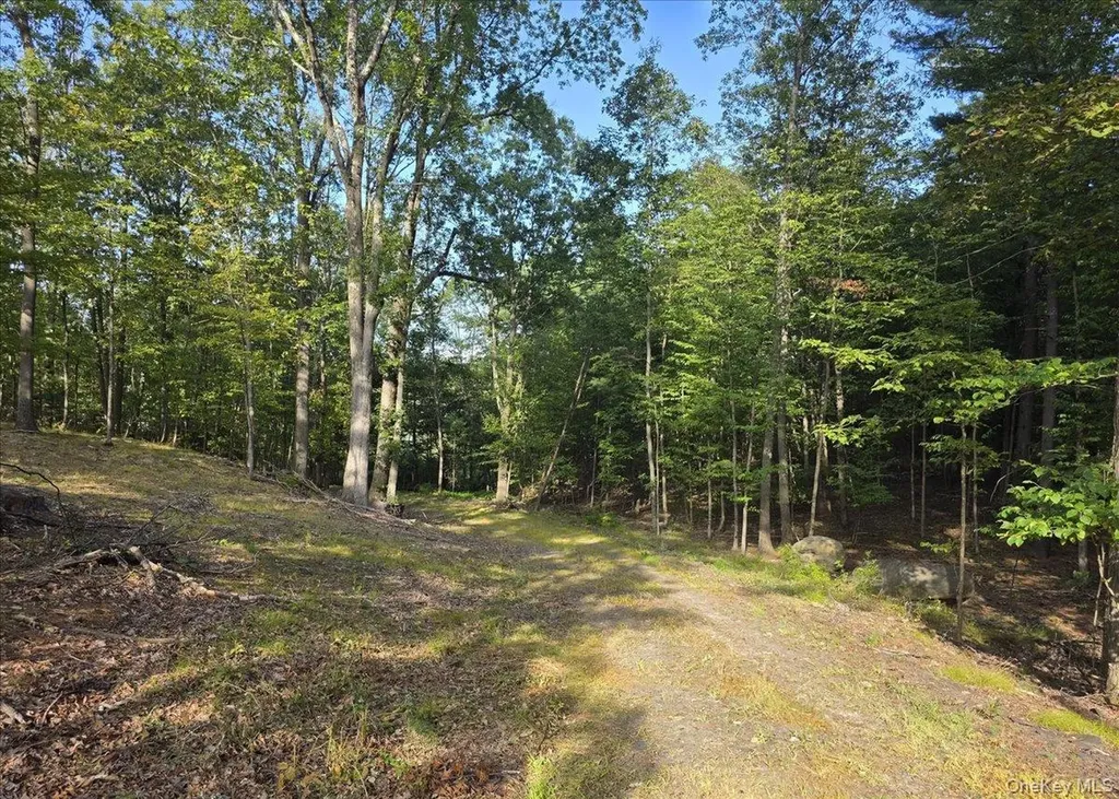 1927 County Route 67 Cairo NY 12413